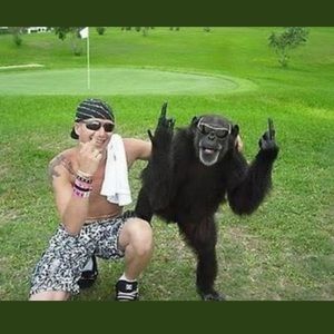 Meet your Posher, Danny